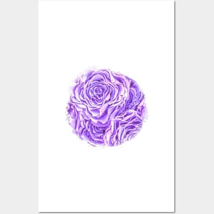 Light Purple Rose Posters and Art